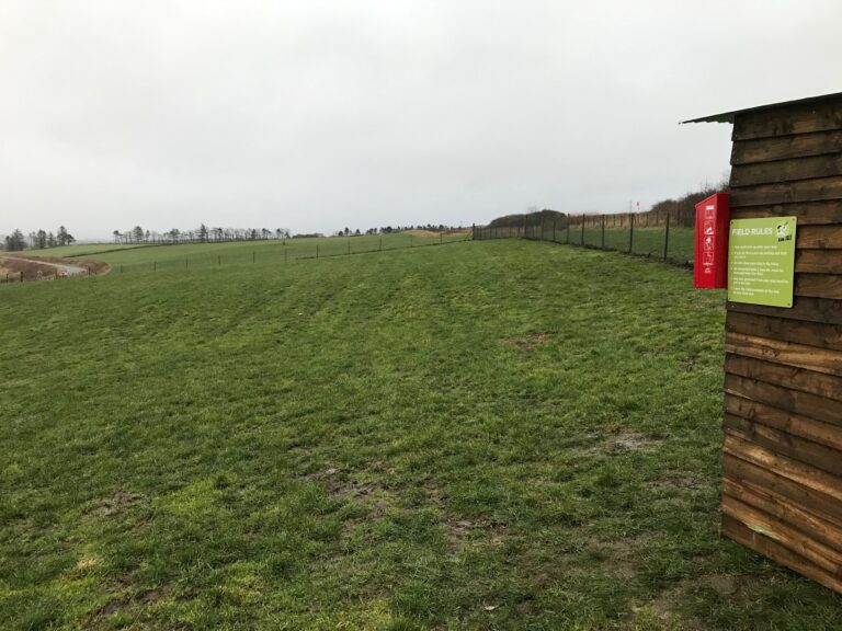 1806 a8199d16775650a80b3c2c4e49c18f45 1 768x576