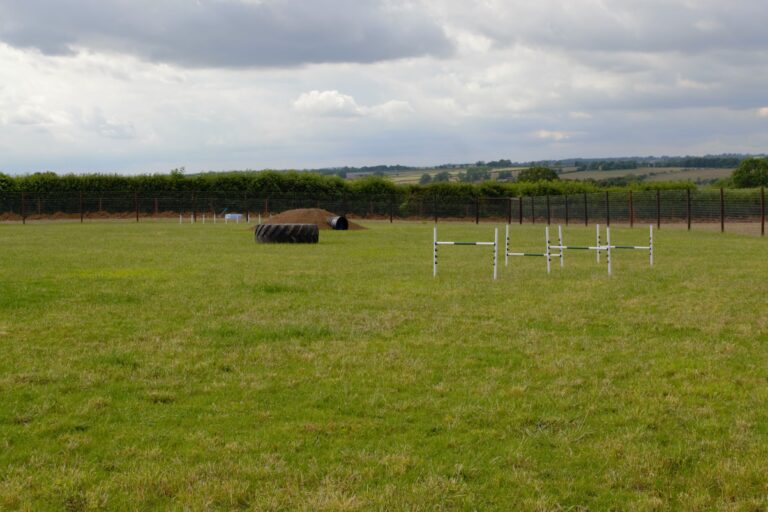 1808 27d070a08ee91f539a2bdeed194db8ce 1 768x512