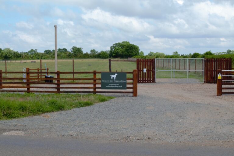 1808 44e6f3c283ff66bfcc261eb306162426 1 768x512