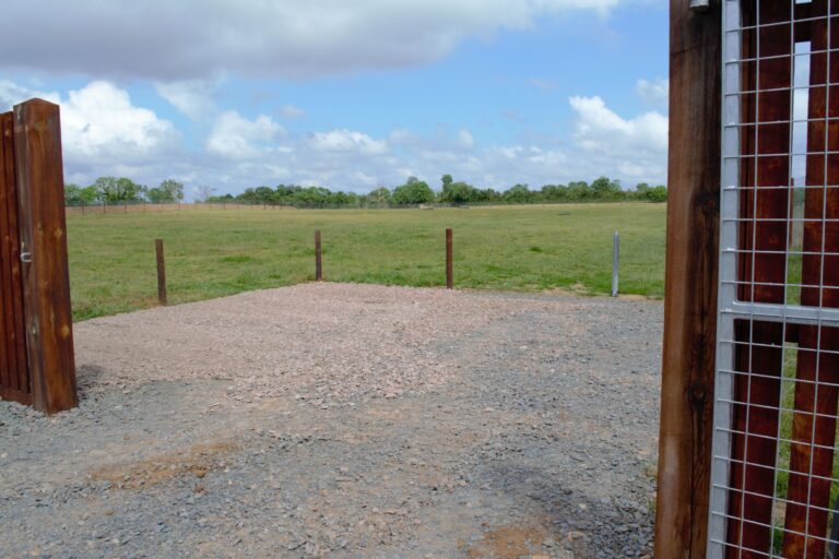 1808 9a448d08757e9f0ce1a3b7a6a38e6ca5 1 768x512