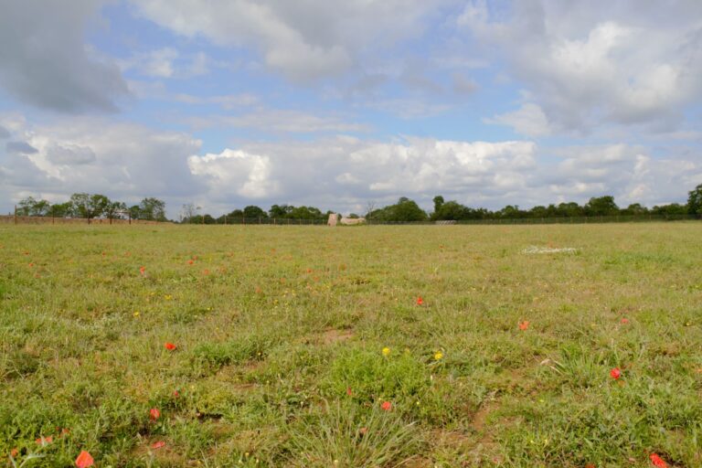 1808 d6a68787101fc98256202fb803f0e113 1 768x512