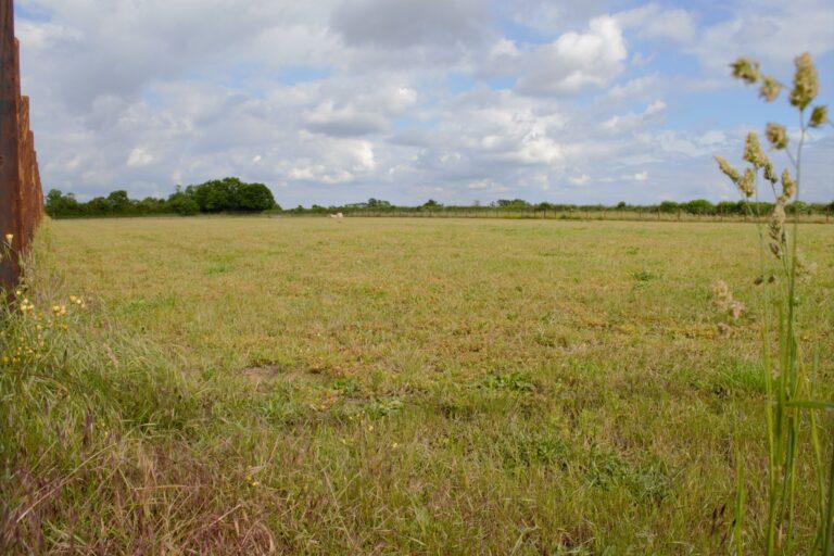 1808 f2c83c1d9025524d0a95e7627dd39d59 1 768x512