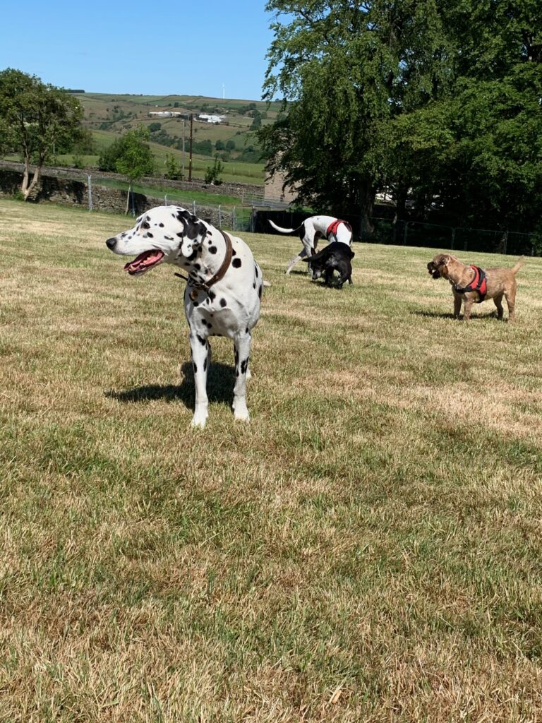 1810 6b5f2fb1d3e516a34f915c125a1a68ea 1 768x1024