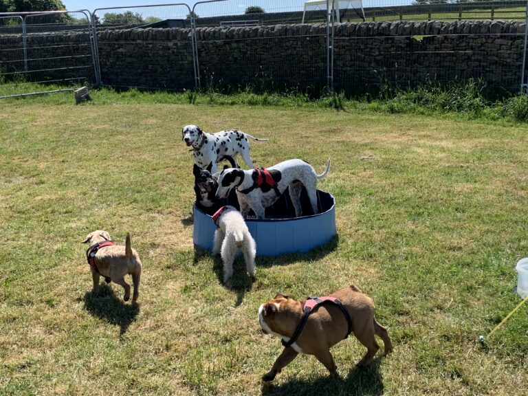 1810 7471fe1e89b262ace49731da8ba2e1cd 1 768x576