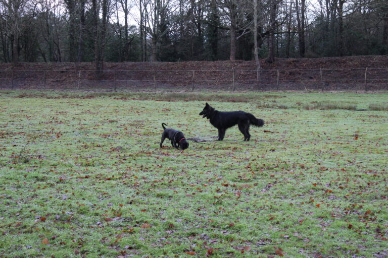 1815 26c93c519a6aea24d65a5bb31363556e 1 768x512