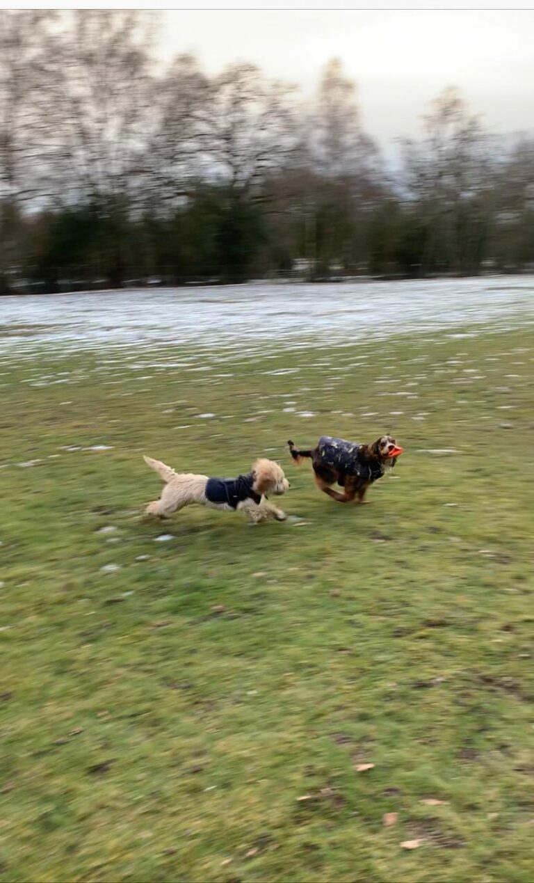 1815 e6a211fbdf5133181298d01da4f274f2 1 768x1269