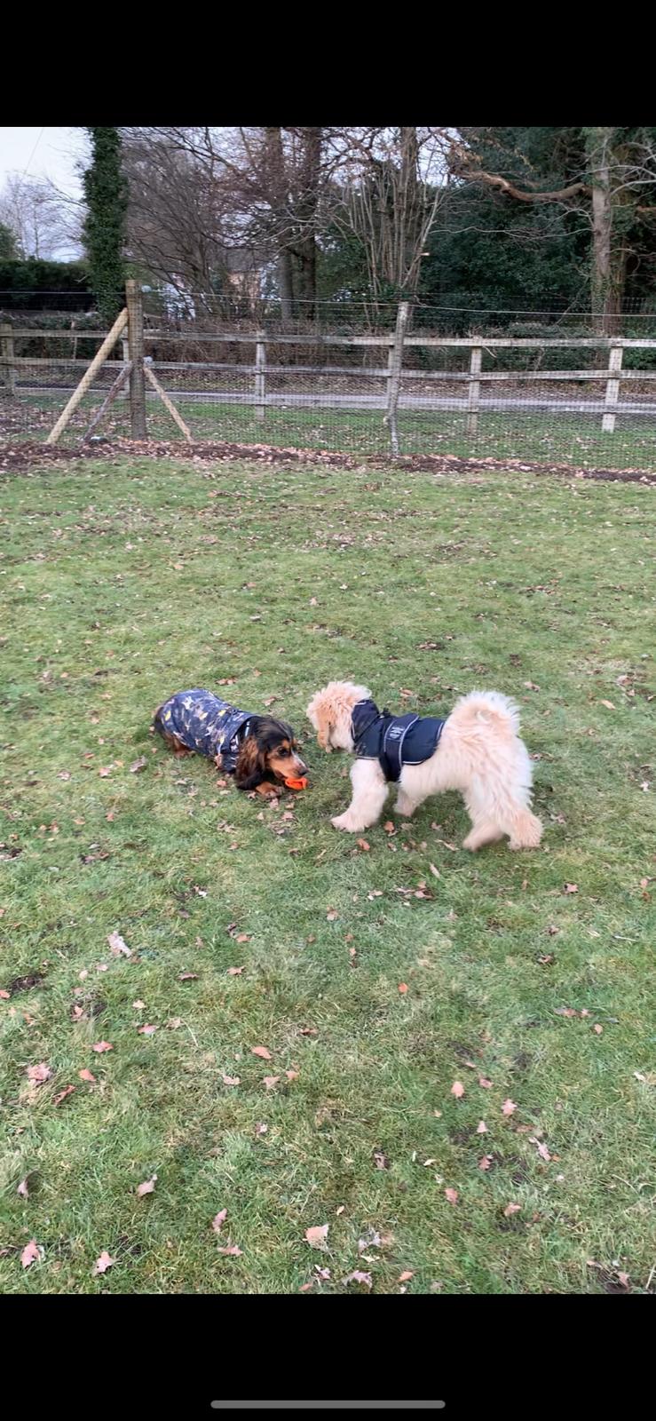 1815 f1e3c93c0c5baa2bca857db21e9f816a 1