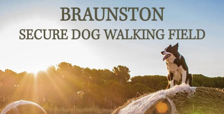 1816 c2d7748bc379038b25ae62ada2d6d880 1 768x393