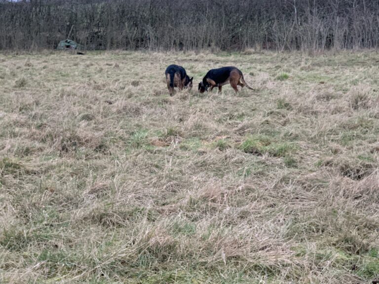 1822 430fd8f1ccf6894d08599283299ad065 1 scaled 768x576