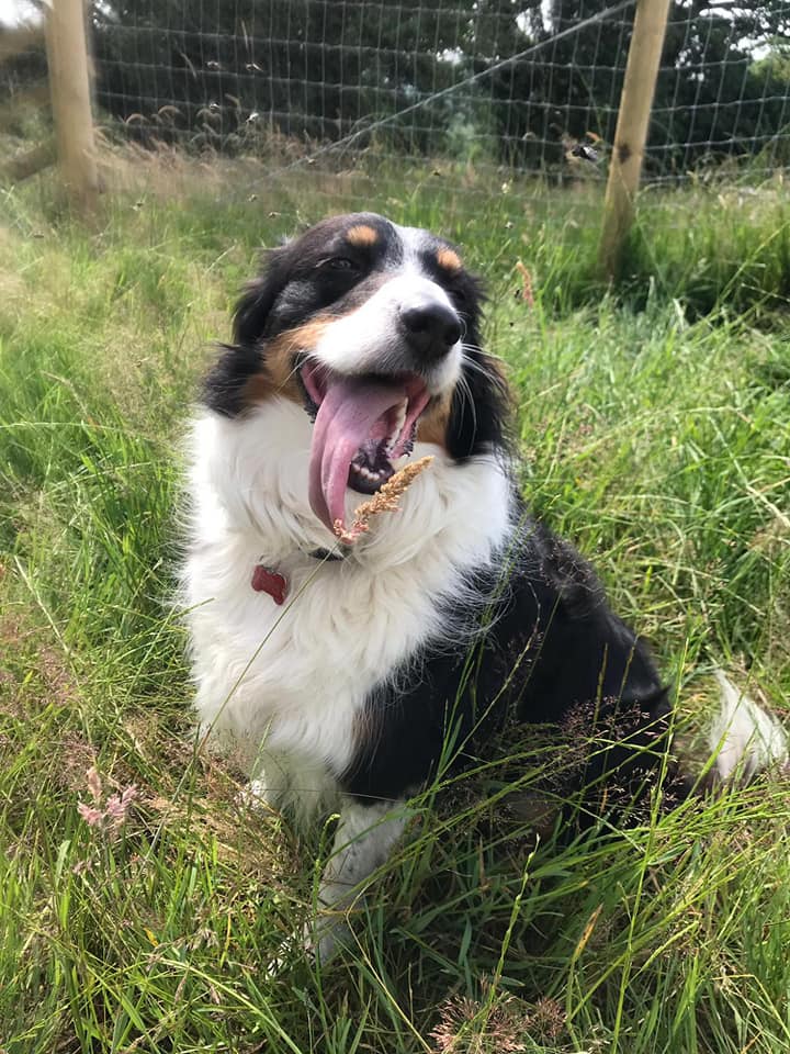 1823 8830bd651ddafaa5c4335b1d35748540 1