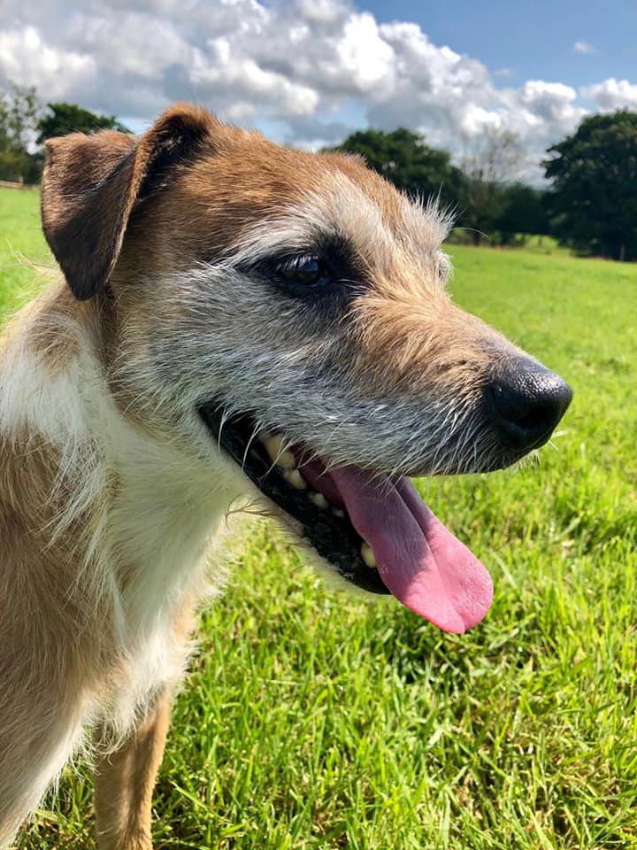 1823 b3f4fbe773dc93a310a8a7b8429417d0 1