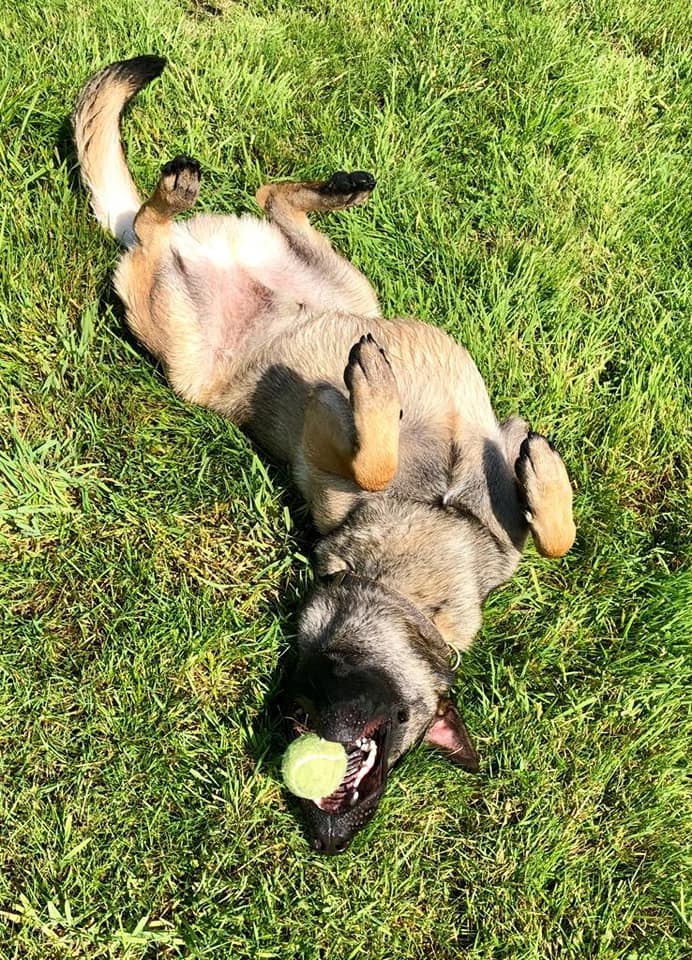 1823 cdbb751b3f9afea6b4139778f8f3b0d9 1