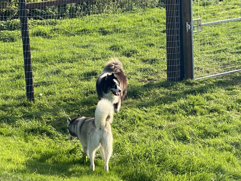 1826 f9d23af38f970aff69b613a9a0baf9b0 1 768x576