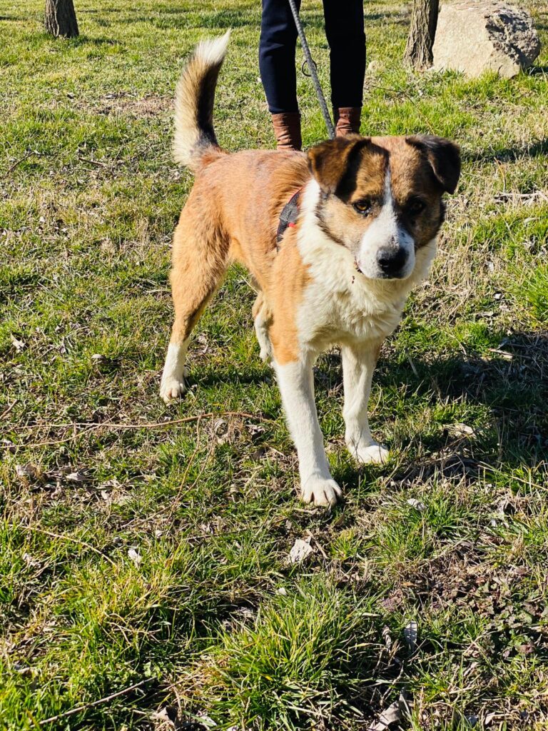 1828 152b4755e14831774360b6f624ee6804 1 768x1024