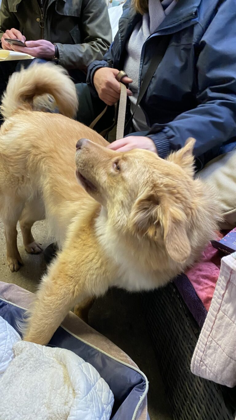 1828 16eb4d5742757f703db52c5362559703 1 scaled 768x1365