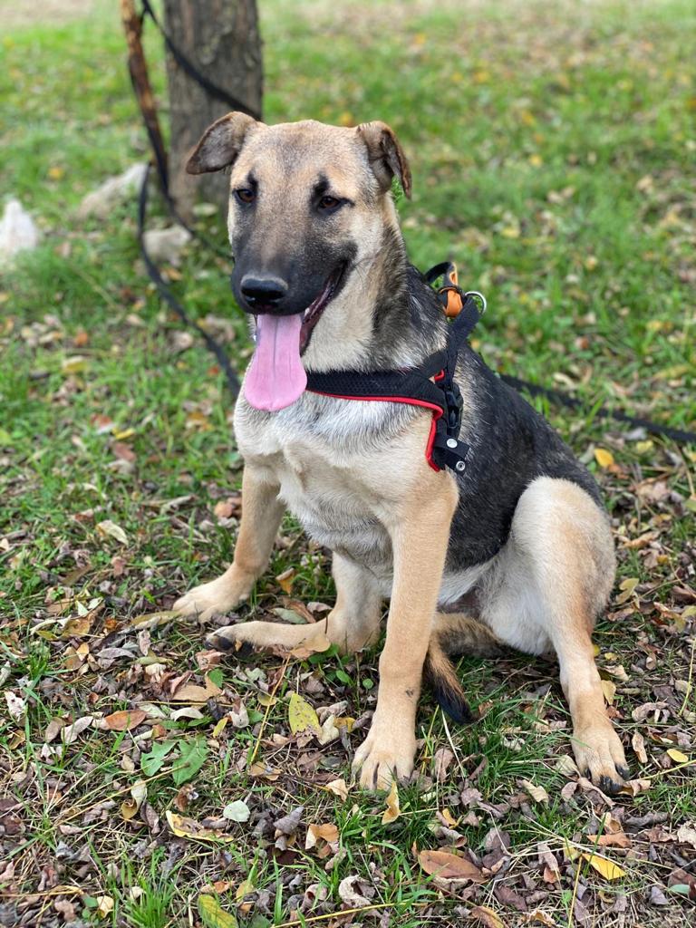 1828 449cac1dcd65e15e000a3921628b2616 1