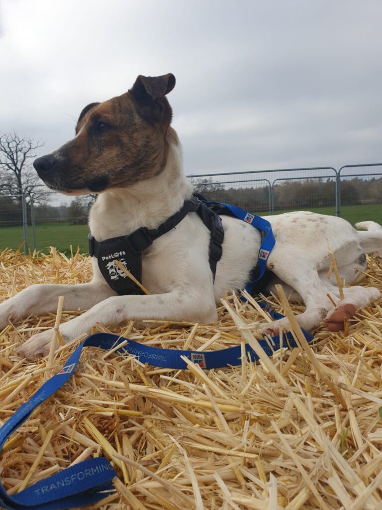 1828 4f780de54017e1bcd753fb5e448da850 1 768x1024