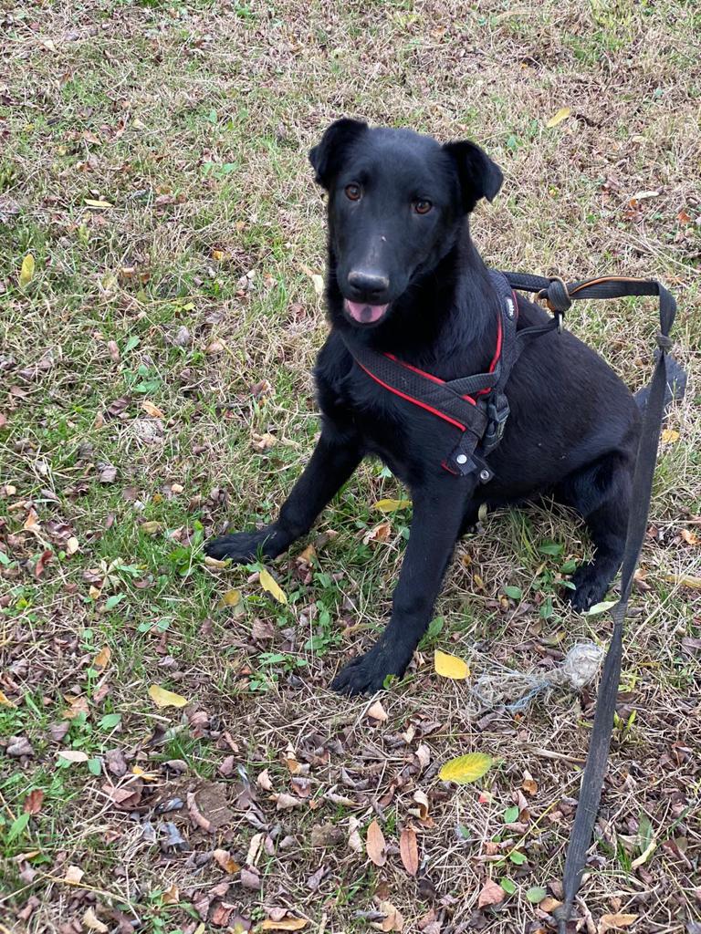 1828 c540c8ddd78a23bd6f6765e16931107d 1