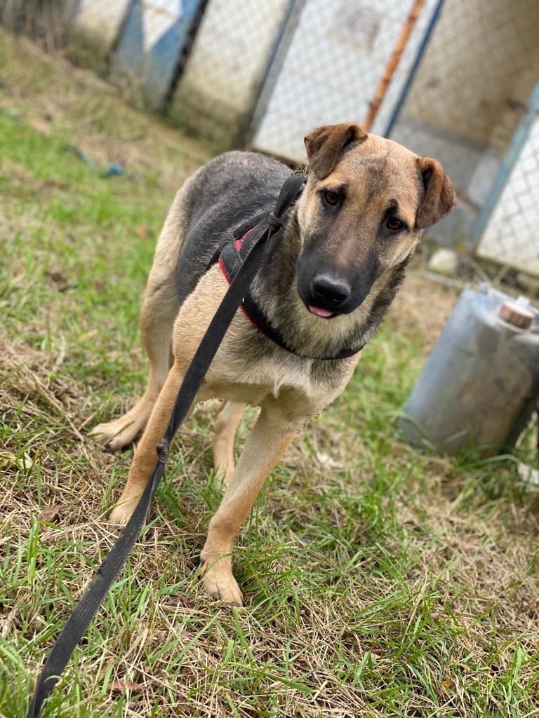 1828 d7a616cbc1e6a5f3d2ec731afe1fc7d2 1