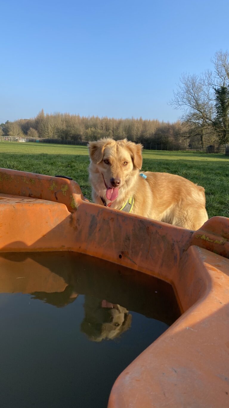 1828 e7854d54c0f16001b3633248e2980576 1 768x1365