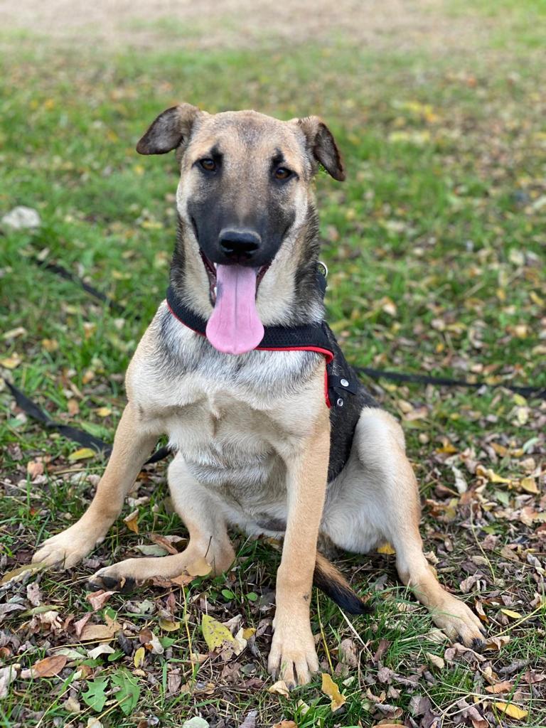 1828 fc21ac1b8283f85a1f60d7cc6819db19 1