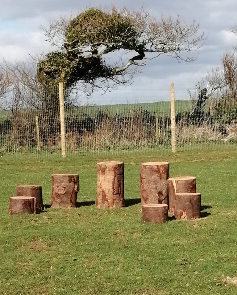 1831 3b7715d1b27b40f3951ada7cb1277570 1 768x958