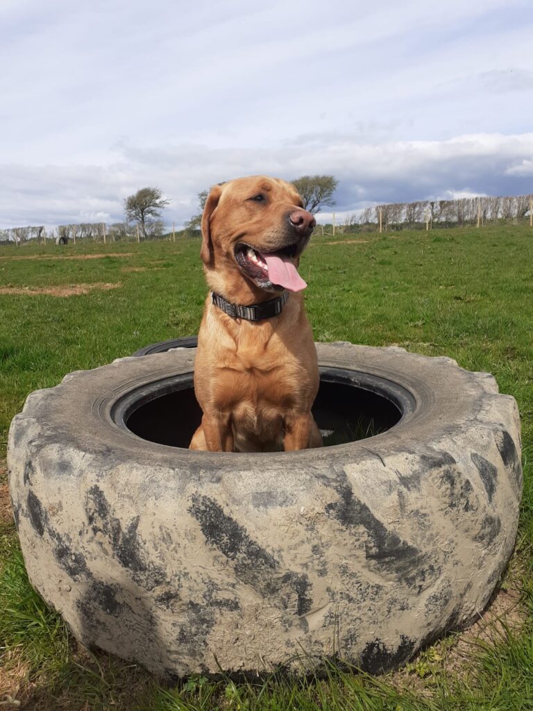 1831 5d3d835105d319986621fa3ceb8a16c0 1 768x1024