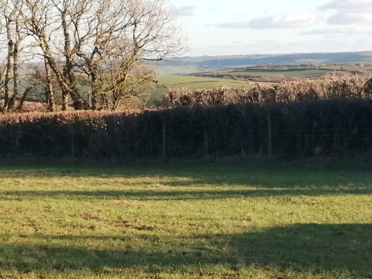 1831 730e85c2cb03eff35386e56223b502b5 1 scaled 768x576