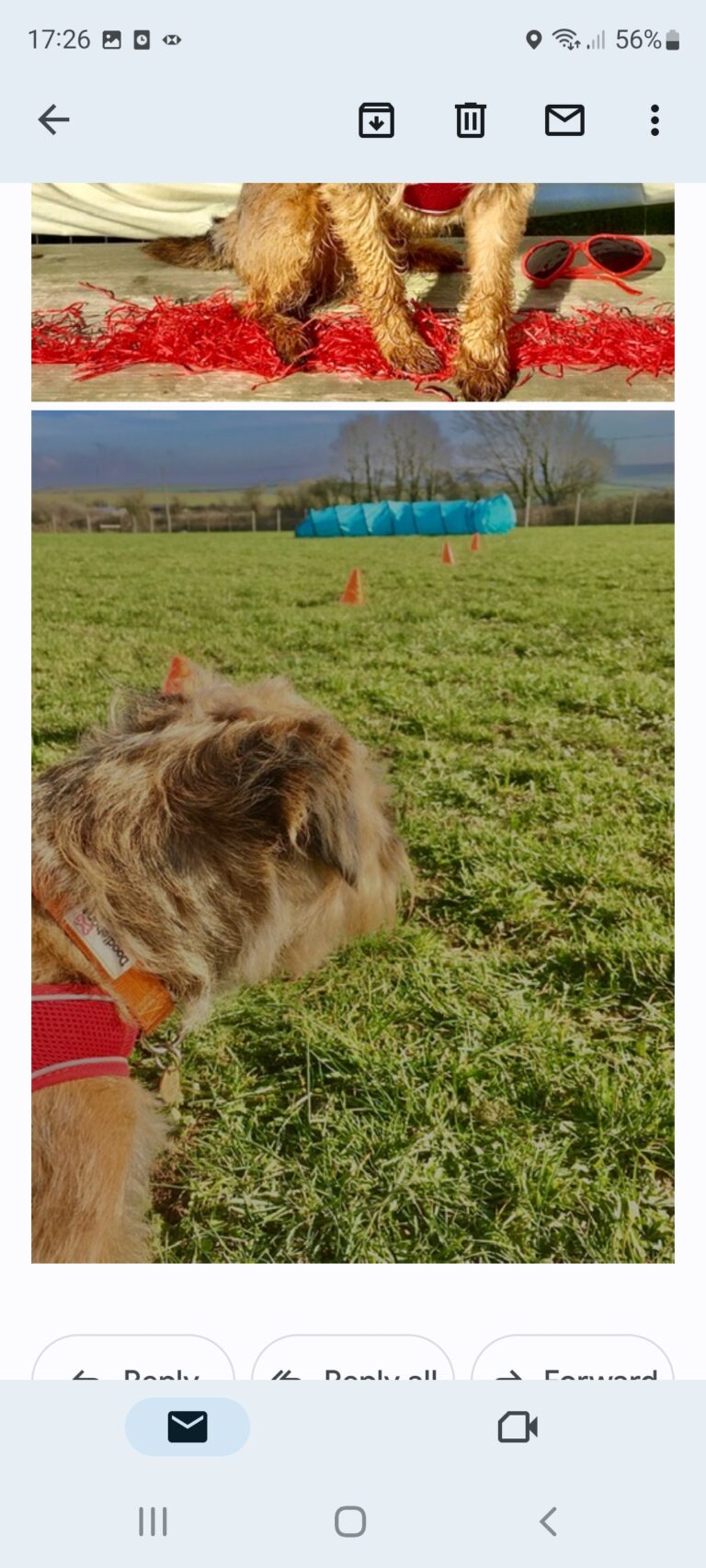 1831 95427e7f44719c946d42bbba3cb7e55f 1 768x1707