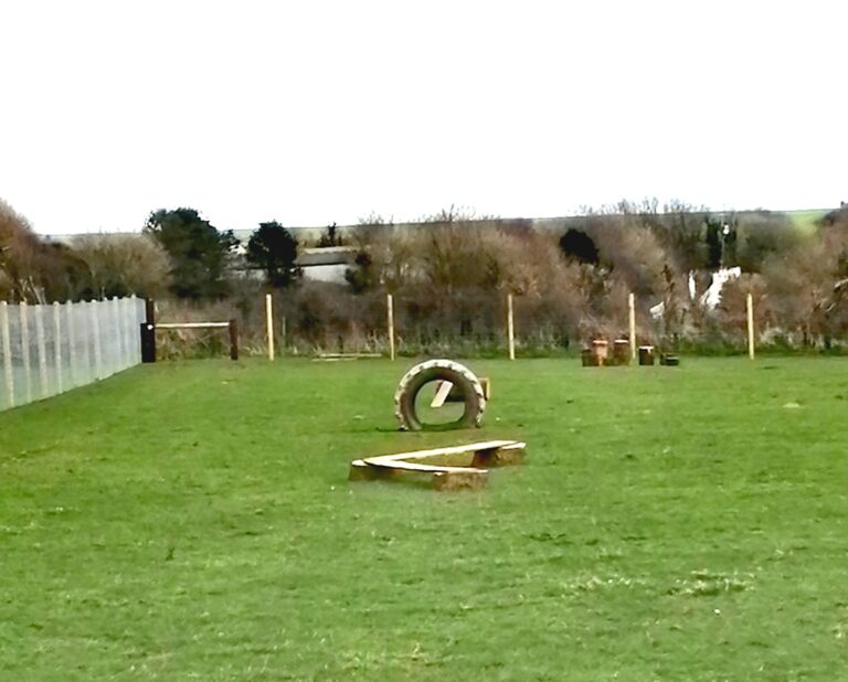 1831 9f9817b254dc09a42f21d45f9afce6f0 1 768x618