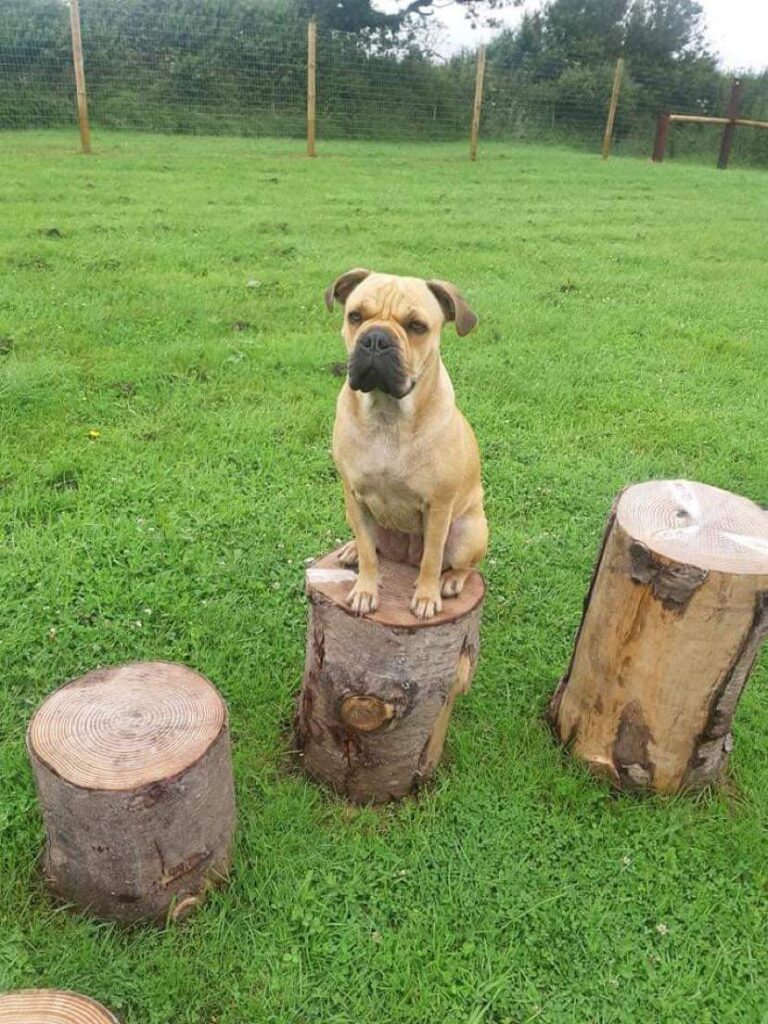 1831 ab5e30f0ea6f4d3d6fd5261bd977ec2a 1 768x1024