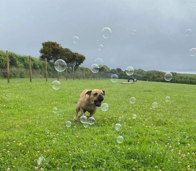 1831 c24c97a121b384346e751fddea9eb63d 1 768x672