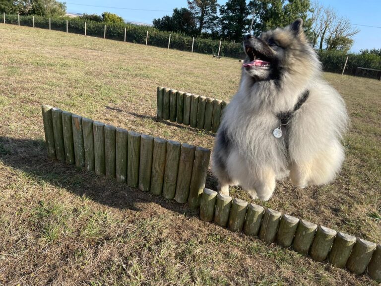 1831 de06b4c8566bb50d78ba3d67f5bcd0b6 1 768x576