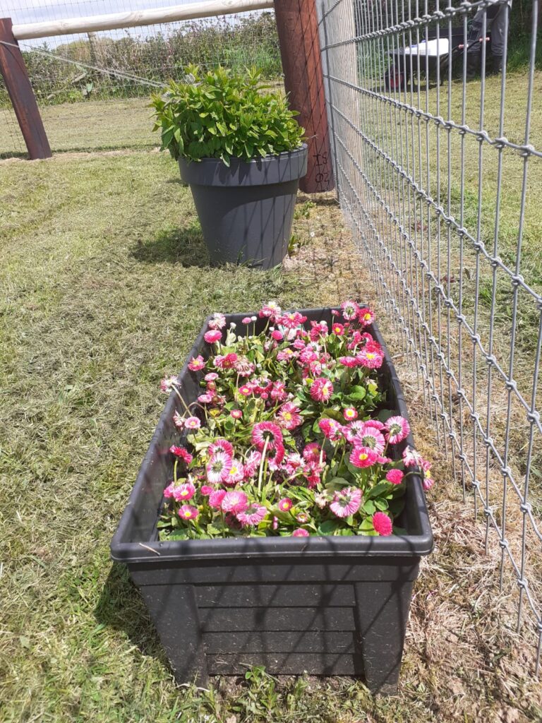 1831 e3d7e6d7a276ab7223d786c9dfc8ac24 1 768x1024