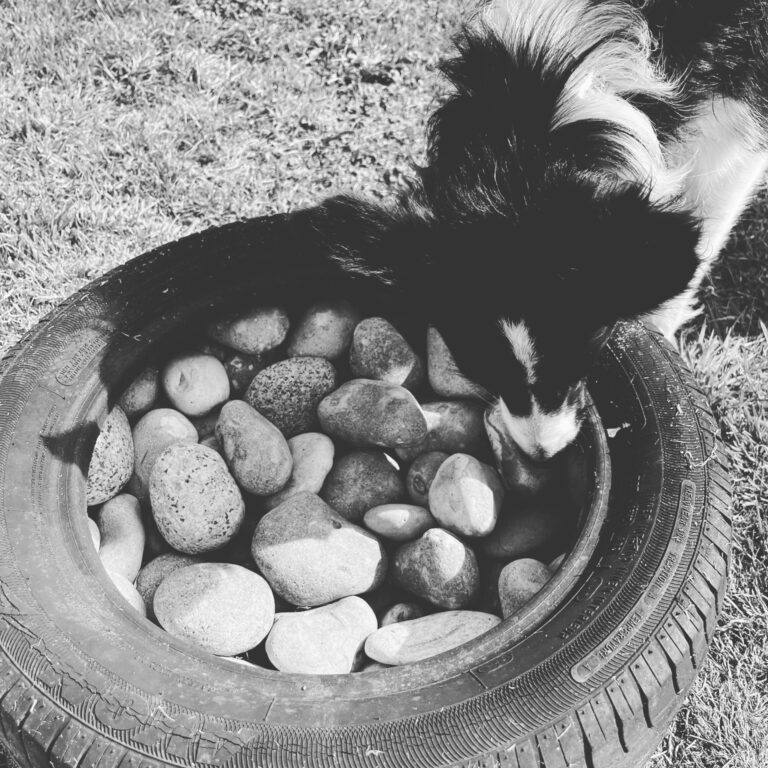 1831 ee6f662397d129955800cfe9cab7a2a6 1 768x768