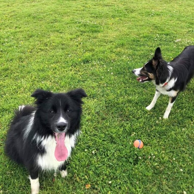 1835 1129512ed609c9b32182d270e57a68f4 1 768x768