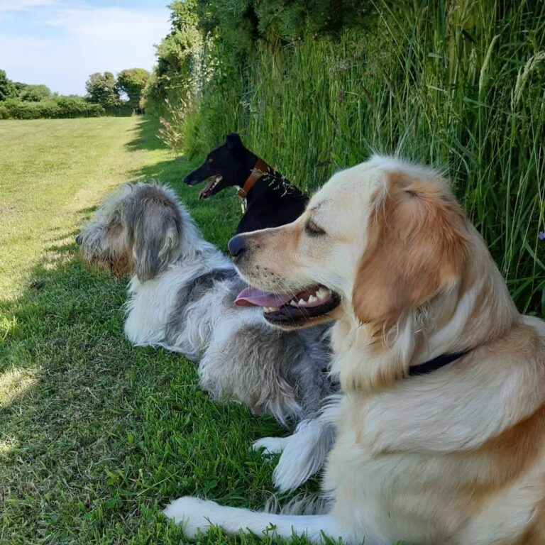 1835 1db740f44ac9c5bbb8d8bdddd3abb94e 1 768x768