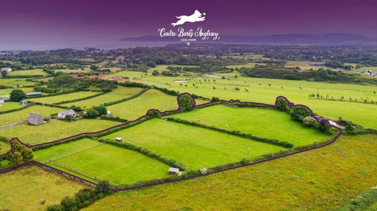 1835 1e16562dc961dc936557c23fa75ce9aa 1 768x431