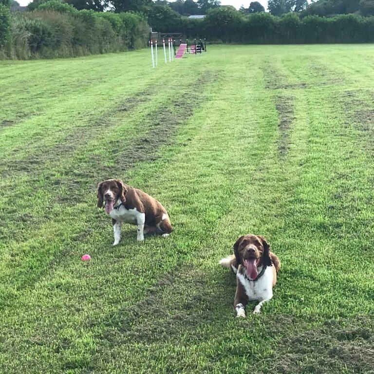 1835 31584ddc97c4beca6b954fe527271bb2 1 768x768