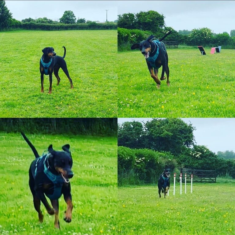 1835 31d007e0348572e5d35664ca794f9297 1 768x768