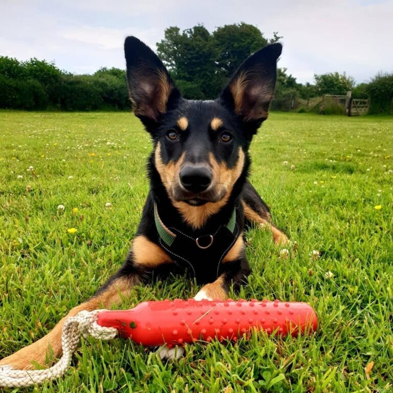 1835 3371ca9cc0d90d53b62033e0a8c5150b 1 768x768