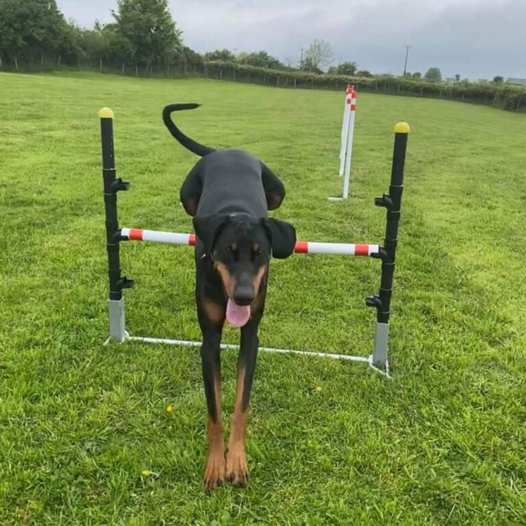 1835 3c796d50971bd1f3f2cbe2ce4f63eff3 1 768x768