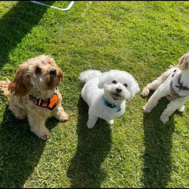 1835 4aa56f1889166a251863e122741663ec 1 768x768