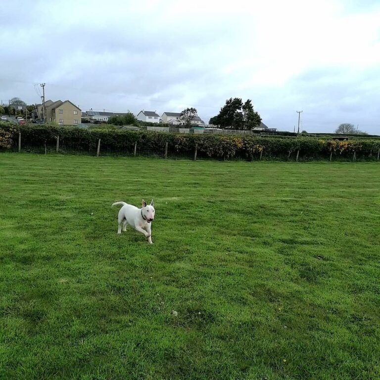 1835 56edc7f0b5f8123151992abda8d43904 1 768x768