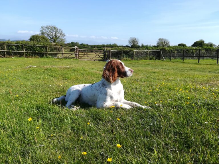 1835 6e45d6ef61a9ab017a1ef769326421f1 1 768x576