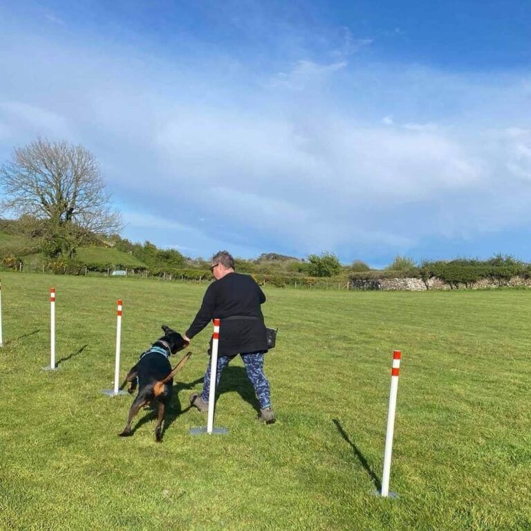 1835 7917820853b4e6e94ab6fb0a2ab50413 1 768x768