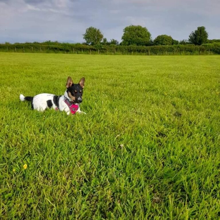 1835 7e4aad922232f1351e2a4674aefb7fed 1 768x768