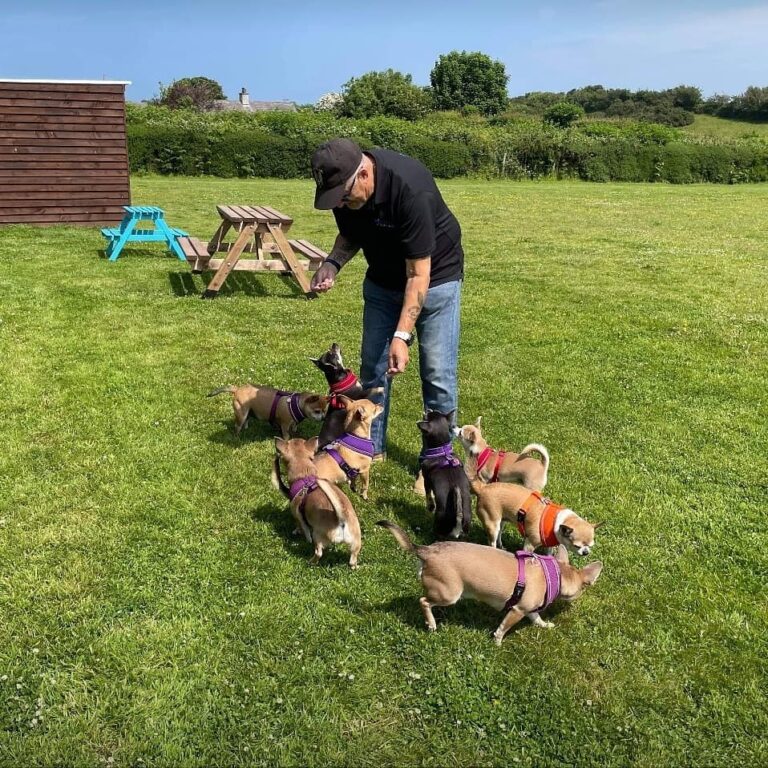 1835 814f3ec003ca457a6cb1a94a1e578844 1 768x768