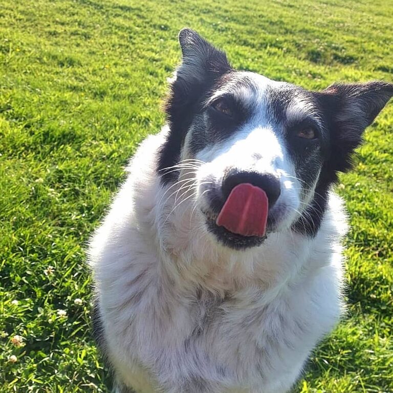 1835 9e11518066860ee14446028cfd383033 1 768x768