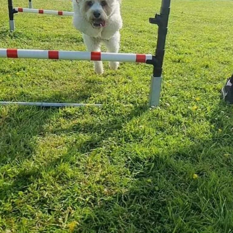 1835 af89ba010e5480ae5a42b934e938cd03 1 768x768